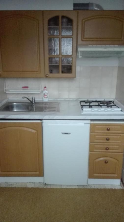 Ubytovani V Apartmanu Mladkov Luaran gambar