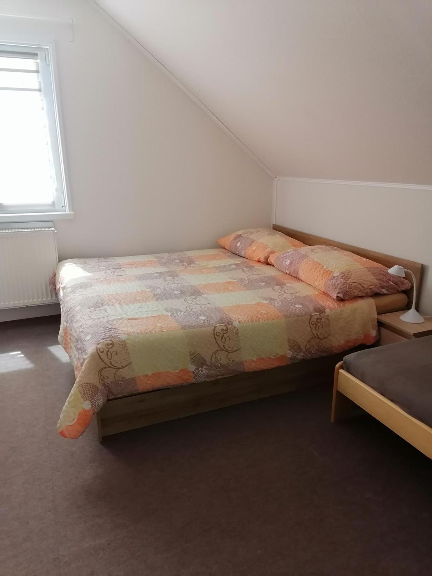 Ubytovani V Apartmanu Mladkov Luaran gambar