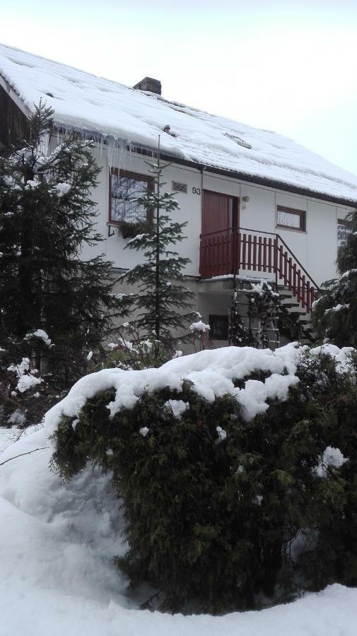 Ubytovani V Apartmanu Mladkov Luaran gambar